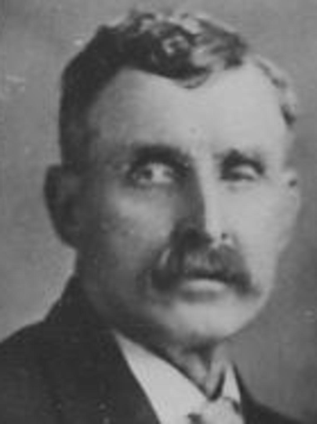 William Henry Schofield (1844 - 1929) Profile